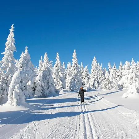 Ferienhauspark * Hasselfelde