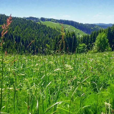 Ferienhauspark Сasa de vacaciones Hasselfelde