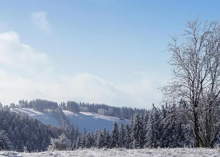 Ferienhauspark Nyaraló *